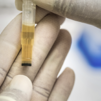 Is Fake Pee Helpful for Passing a Drug Test?