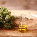 Navigating the Market for Organic CBD Oil in Nova Scotia