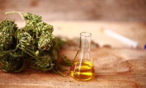 Navigating the Market for Organic CBD Oil in Nova Scotia